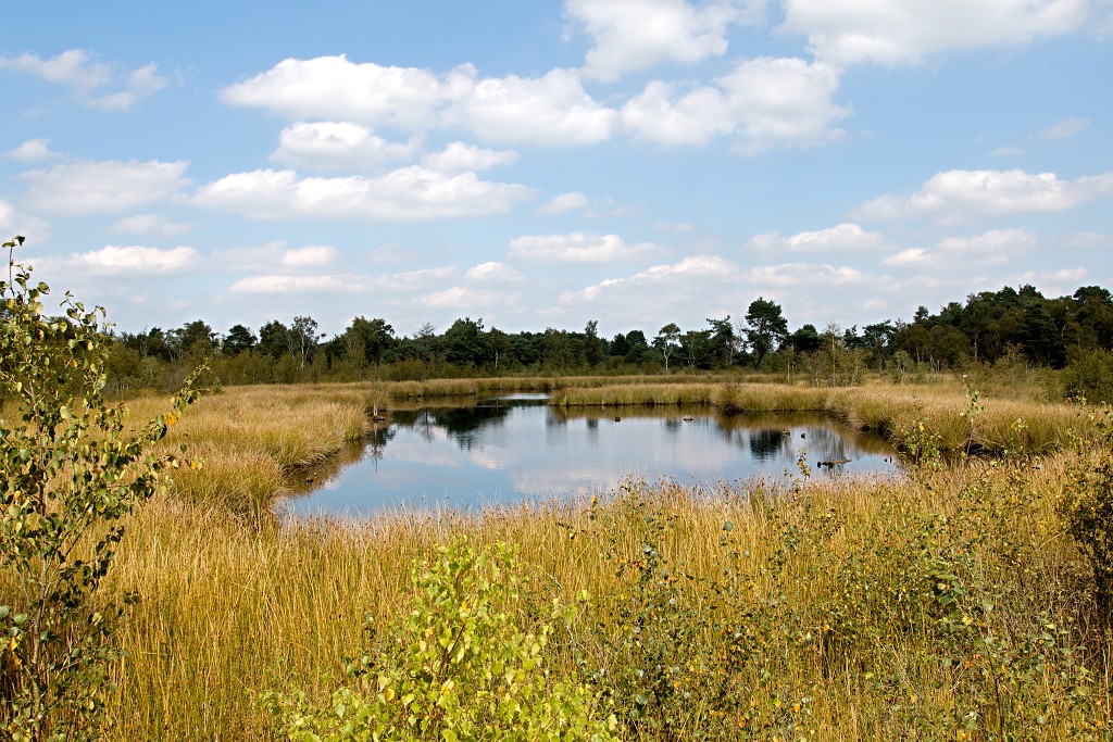nationaal park de groote peel grote natuurgebied natuur hdr brabant limburg staatsbosbeheer turf veen heide hei bos bossen